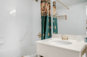 Bathrooms with Railings in Showers