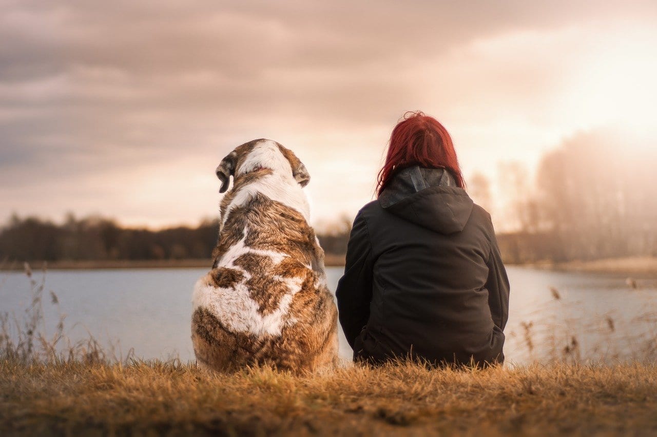 Coachman Inn Pet Policy